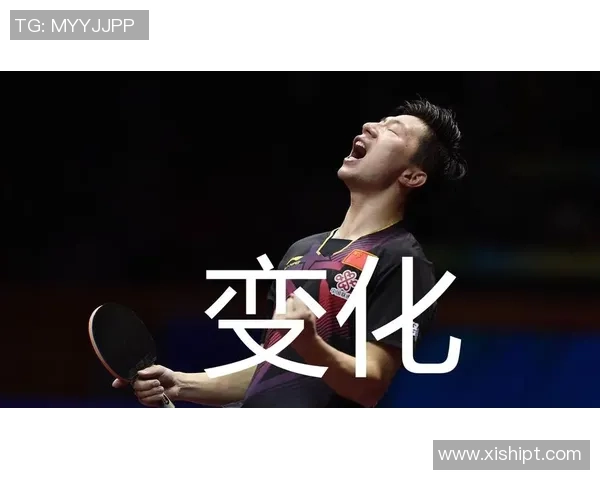 南京网球队灵活性对比分析揭示战术优势与发展潜力