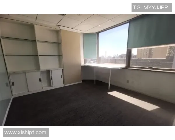 北京乒乓球队包夹战术的优势与不足分析及其对比赛的影响 北京乒乓球队包夹战术的优势与不足分析及其对比赛的影响