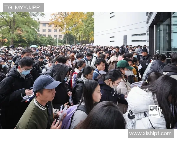 南京飞盘队中路突破创新之路探秘与战术解析